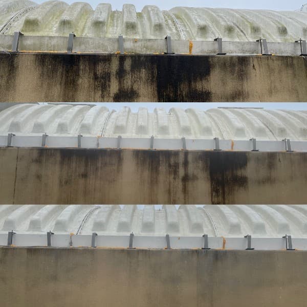 Soft washing roof and concrete wall removing organic growth in Greensboro, NC